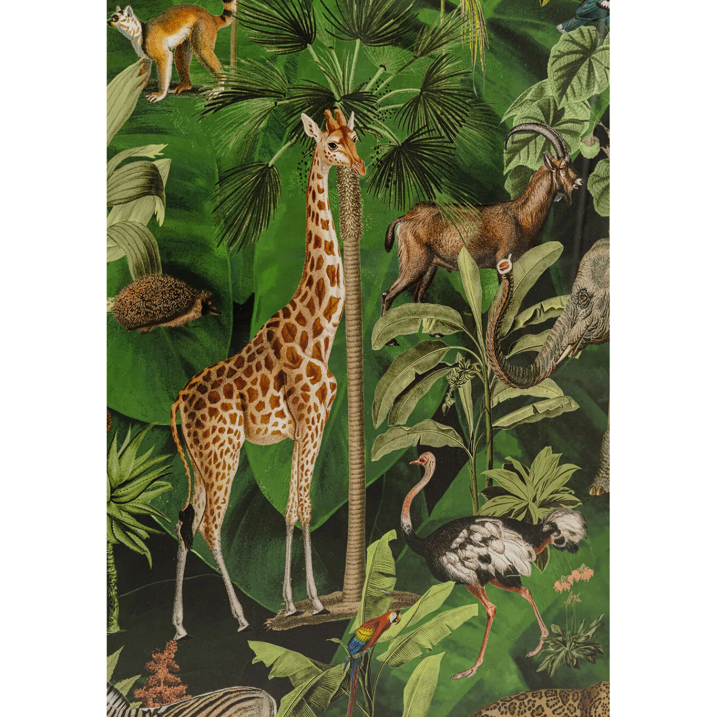 KARE Design Tableau Encadre Animals In Jungle 80X100Cm