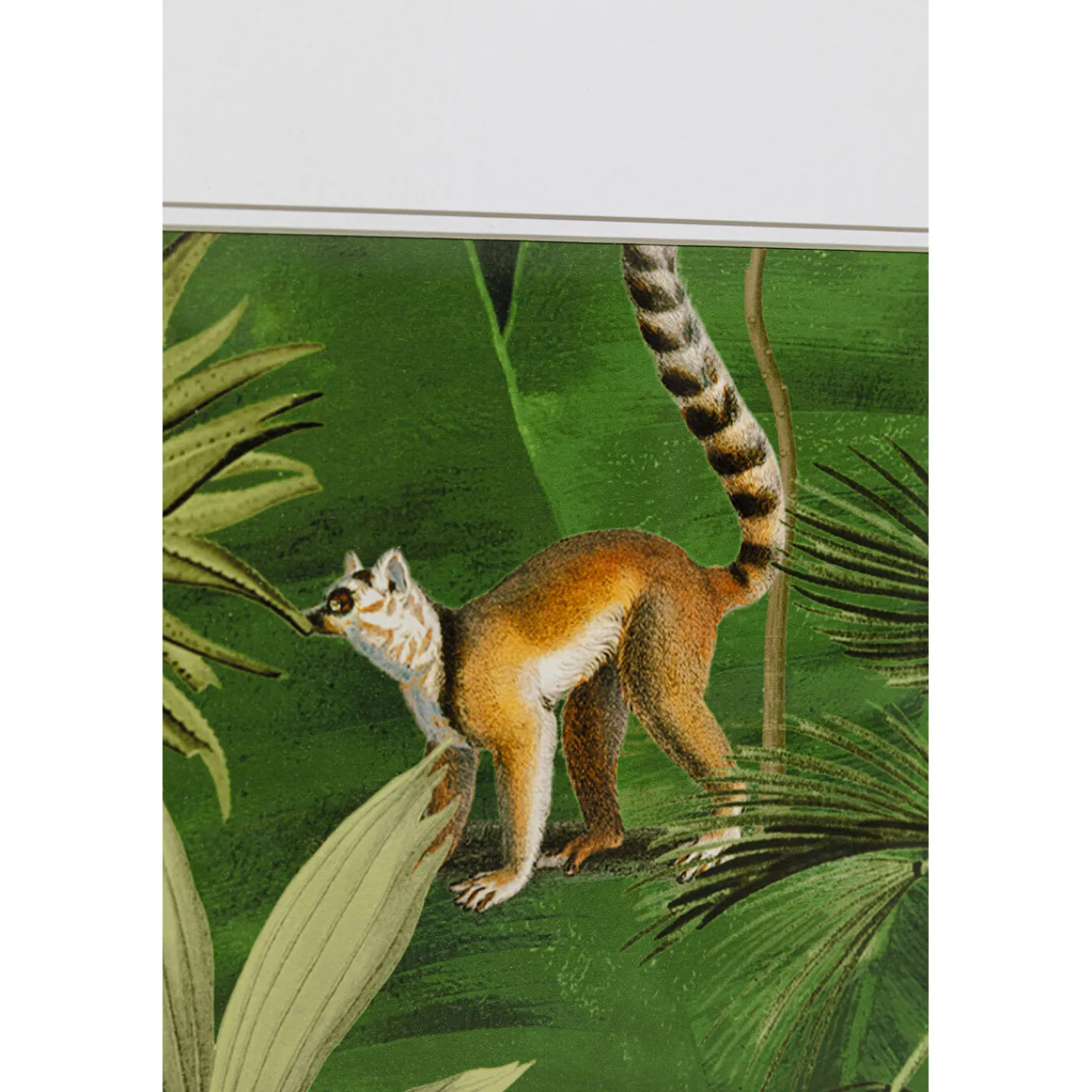KARE Design Tableau Encadre Animals In Jungle 80X100Cm