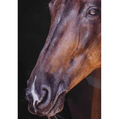 KARE Design Tableau Encadre Wendy 105X75Cm