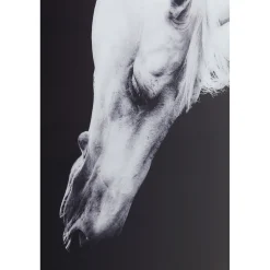 KARE Design Tableau Frame Alu Proud Horse 100X100Cm