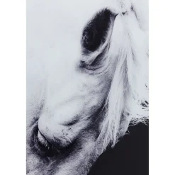KARE Design Tableau Frame Alu Proud Horse 100X100Cm