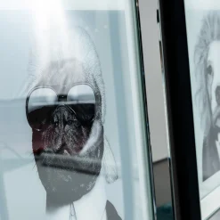 KARE Design Tableau Frame Mirror Designer Dog 60X60Cm