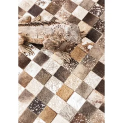 KARE Design Tapis Cosmo Fur Gris 170X240Cm