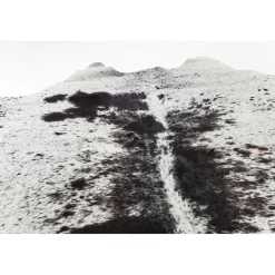 KARE Design Tapis Hide Noir-Blanc 219X242Cm